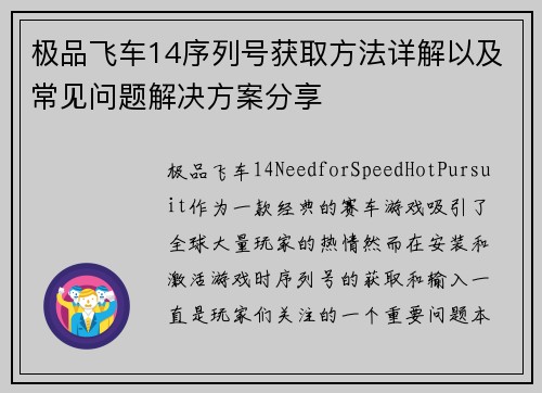 极品飞车14序列号获取方法详解以及常见问题解决方案分享